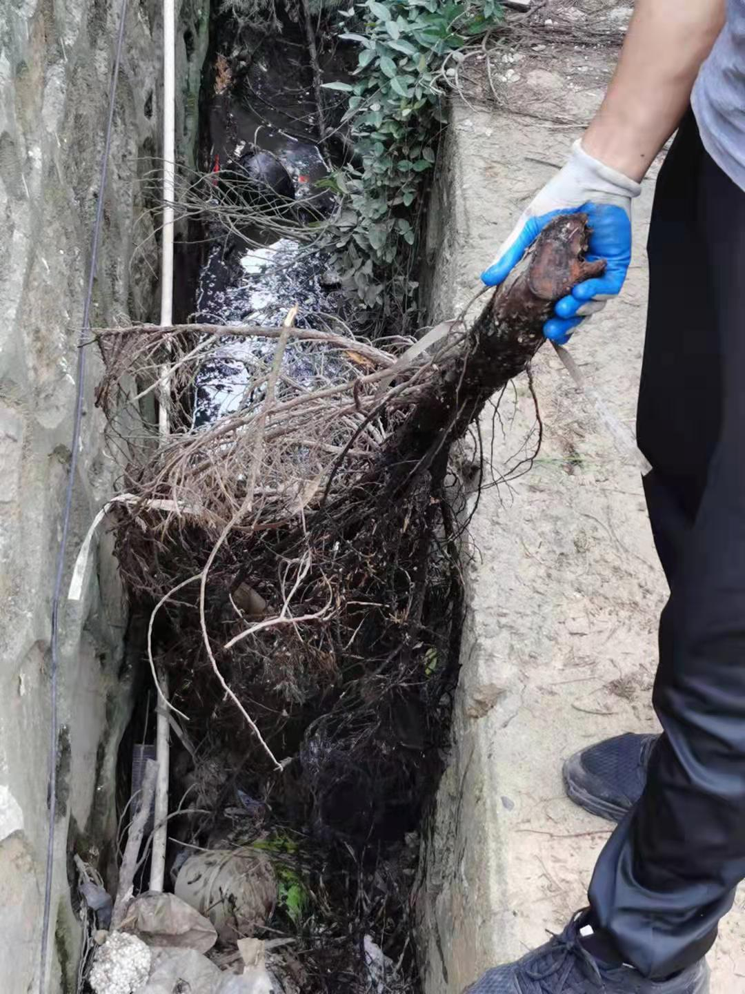 玄武區雨水溝清理